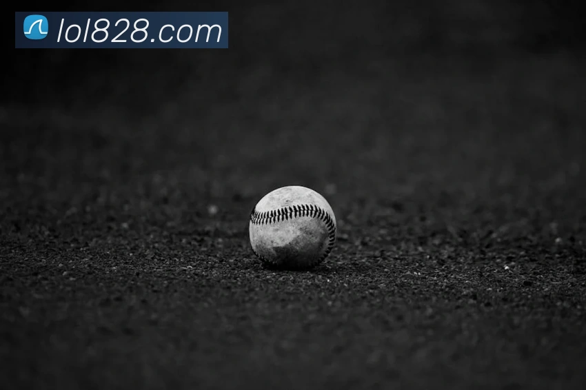 世界杯官网线上平台服务体系